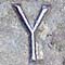 Y