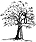 Nash - Apple Tree