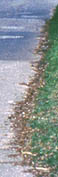 No kerbs, Poole (Dorset)